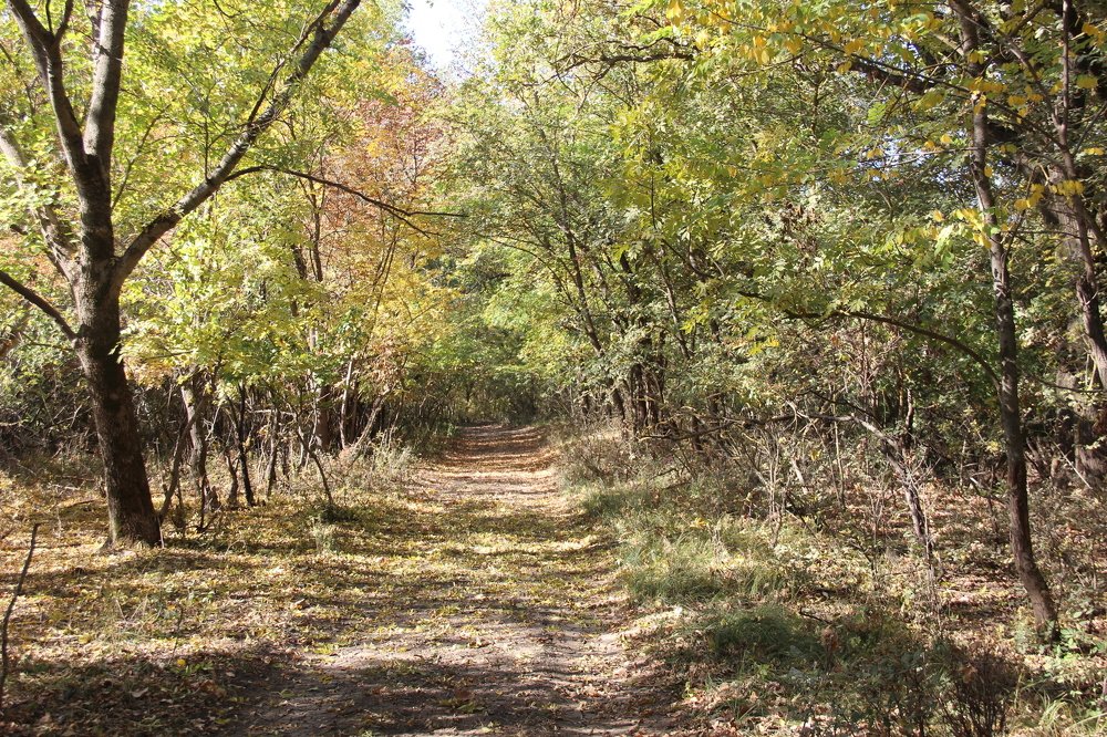 Photograph by Елена Демочкина