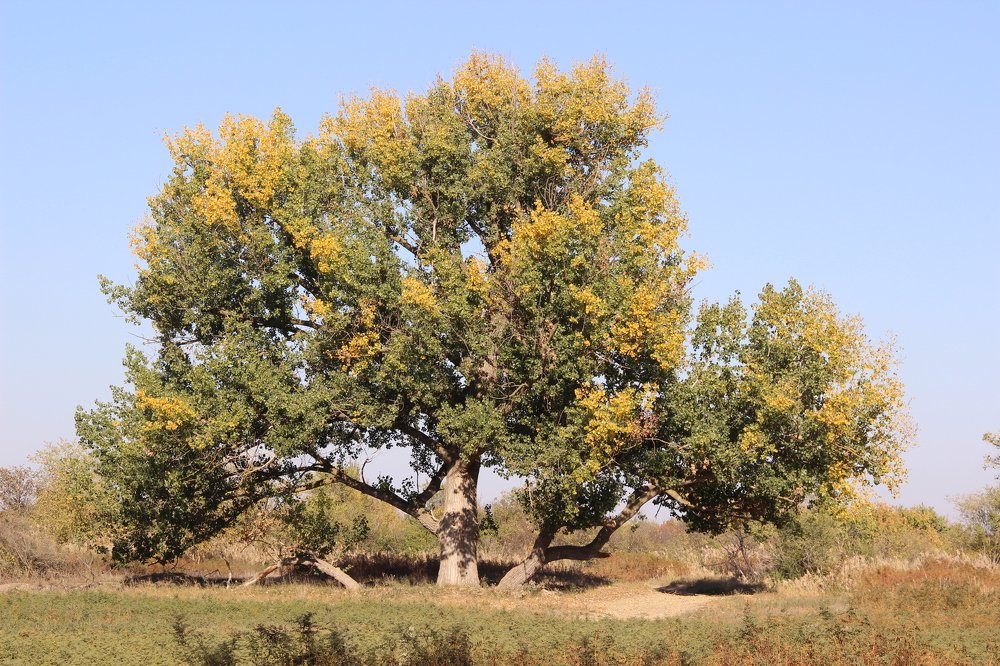 Photograph by Елена Демочкина