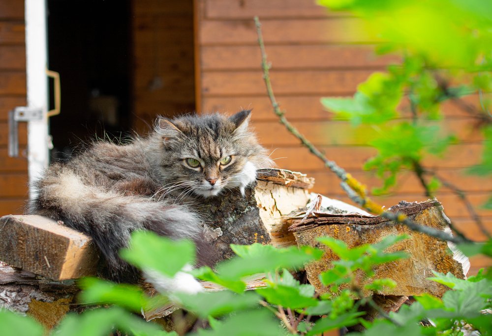 Отдыхай правильно!