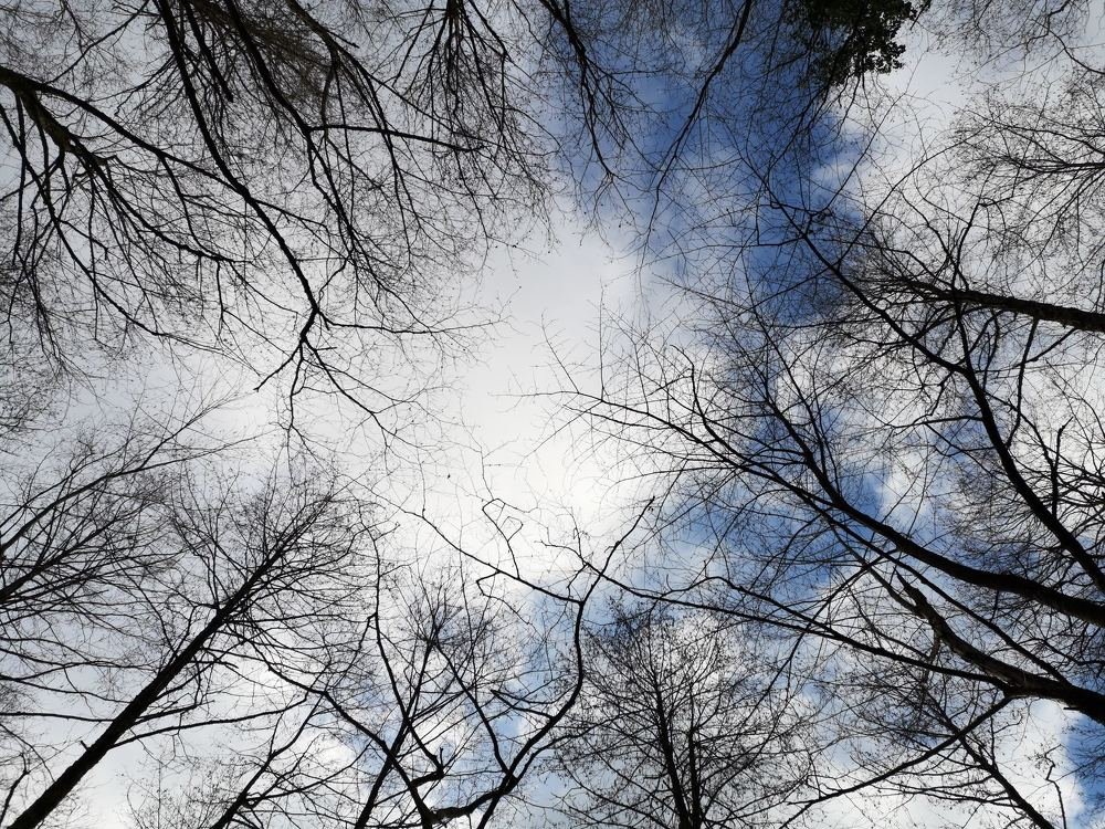 Photograph by Ирина Алексеевская