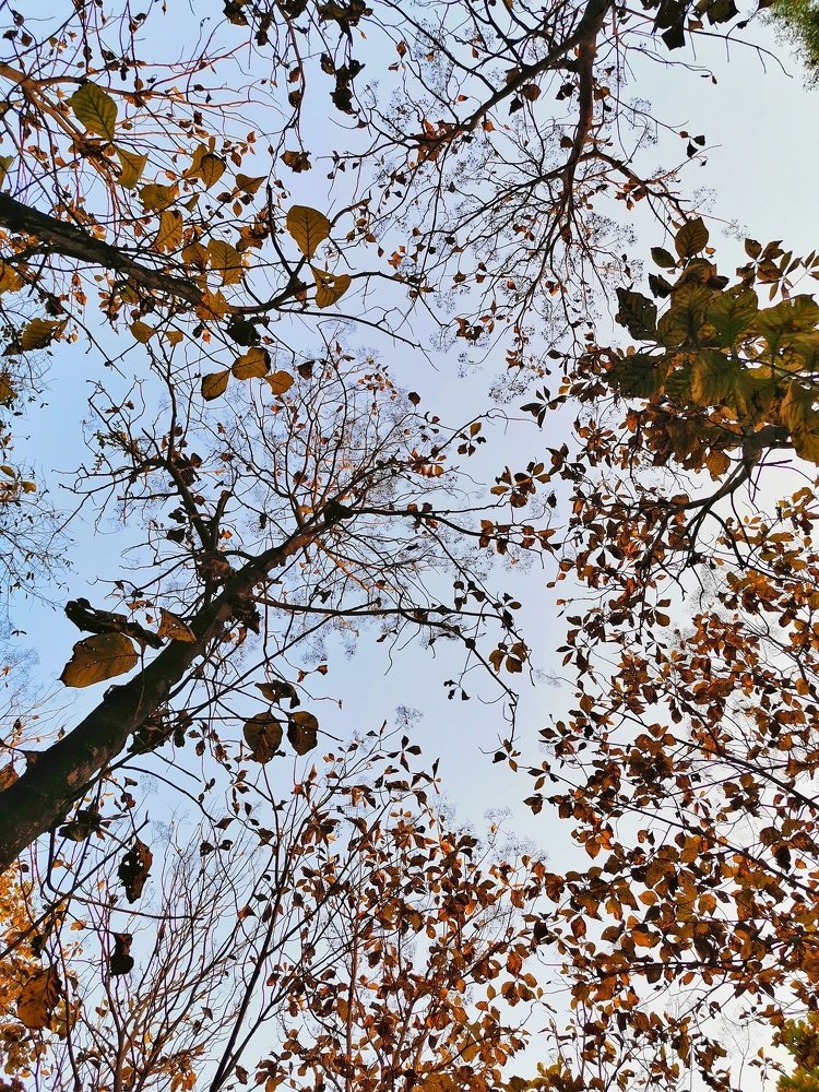 Photograph by Sadman Sakib