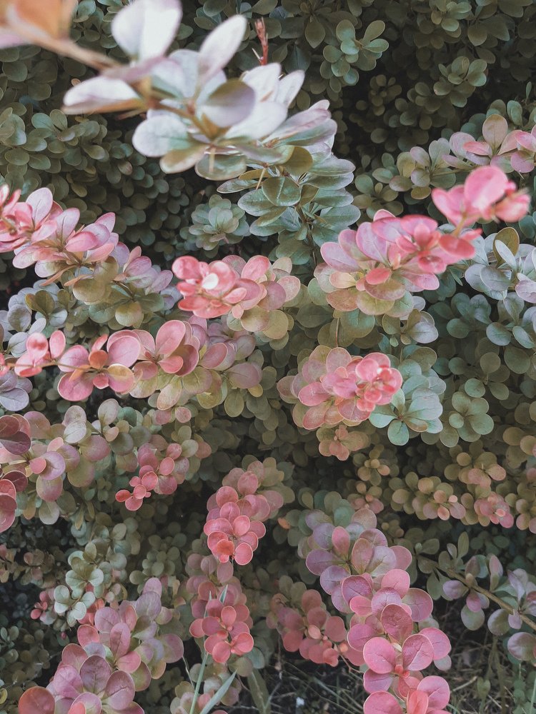 Photograph by Дарья Довгаль