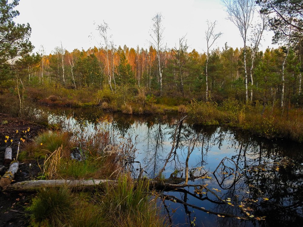 Photograph by Диана Бородзе