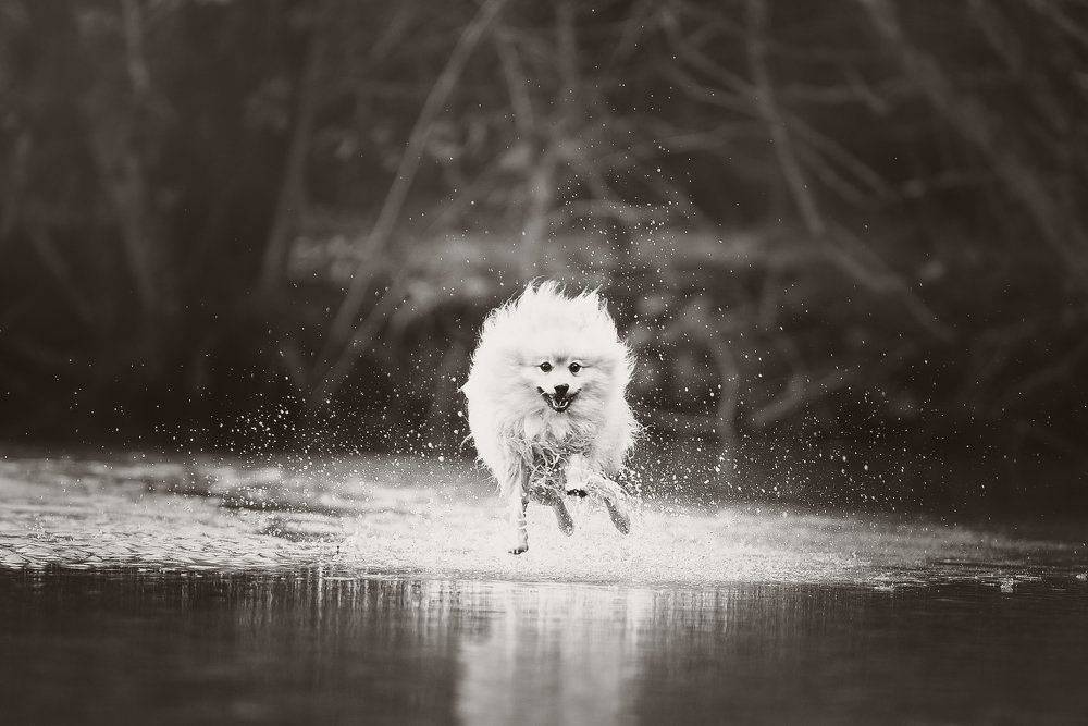 Photograph by Deise de Oliveira