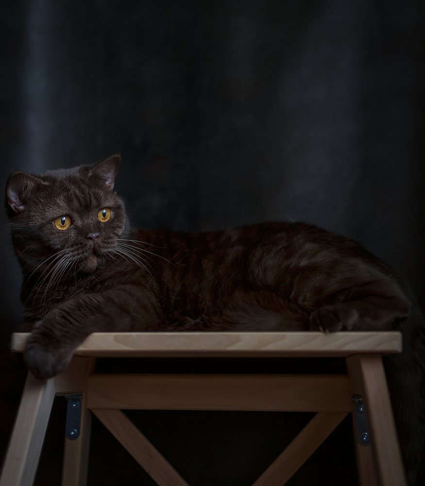 Photograph by Елена Власова