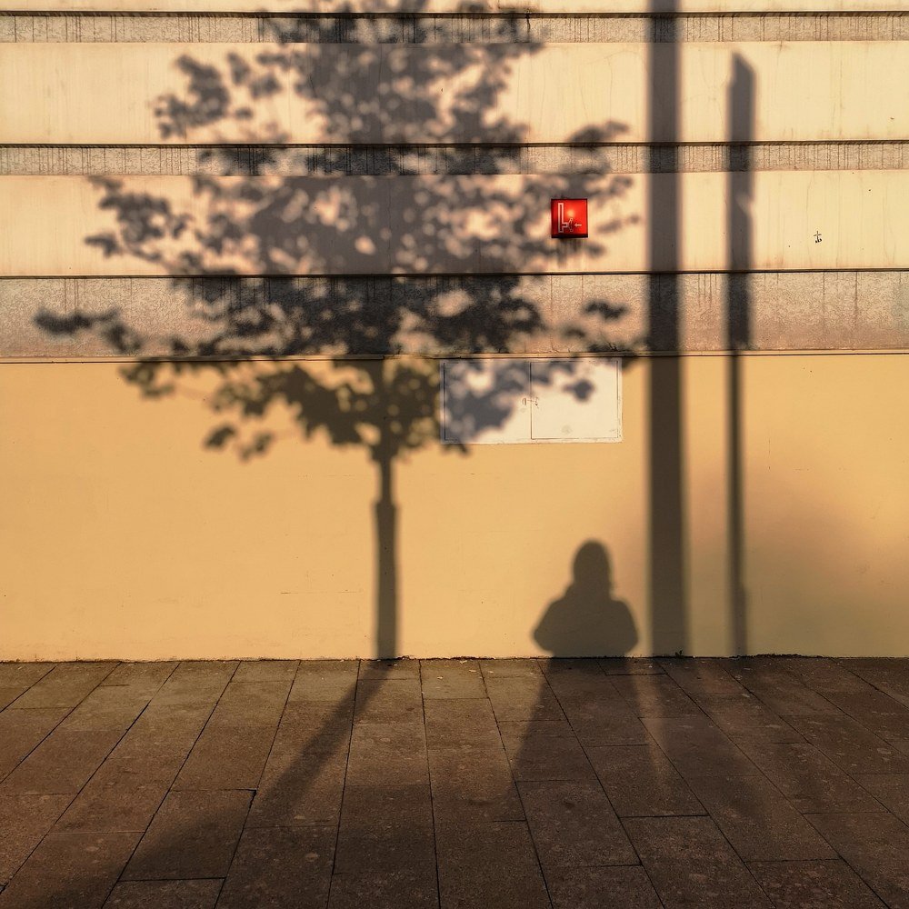 Photograph by Анна Муковозова