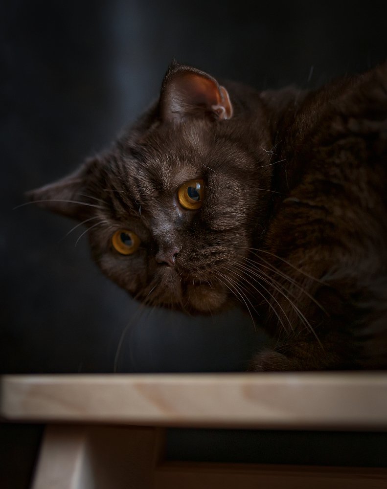 Photograph by Елена Власова