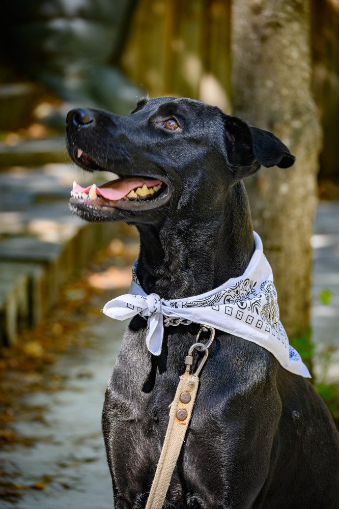 Фотография автора Оксана Белозерская