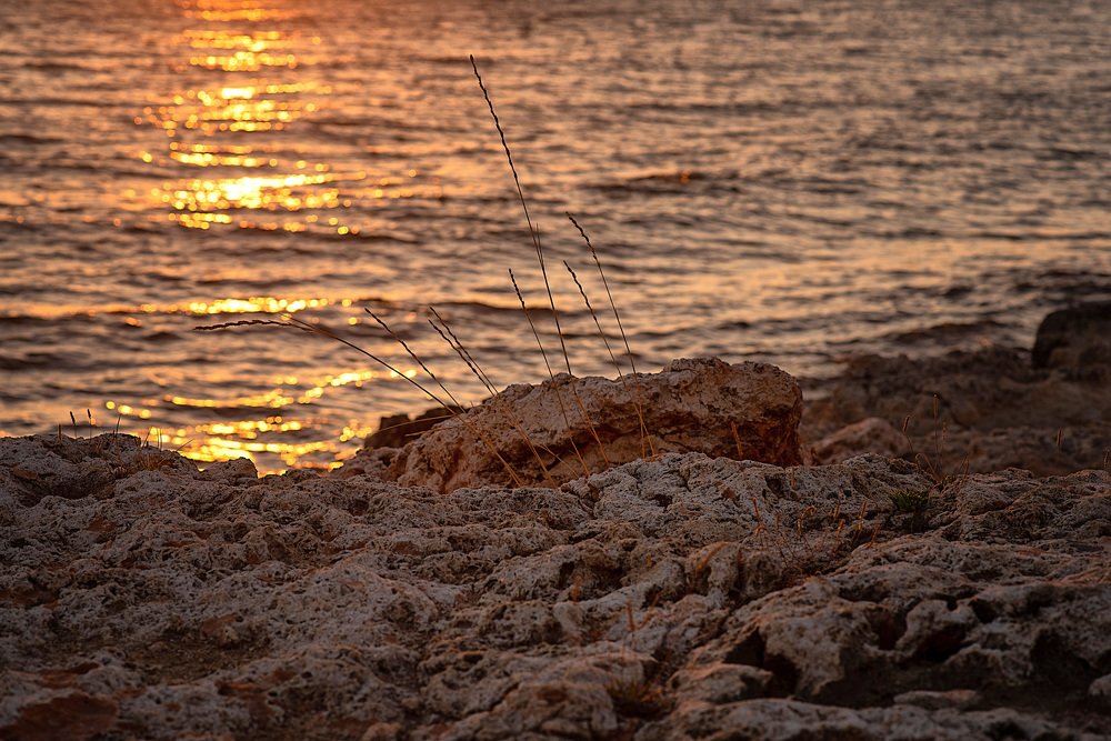 Photograph by Светлана Викторова