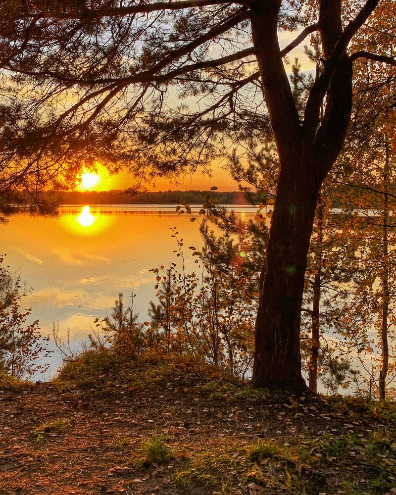 Photograph by Юлия Гусарова