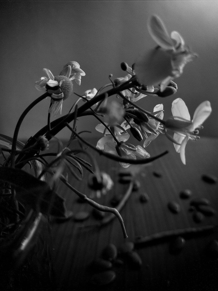 Photograph by Irina Karabulut