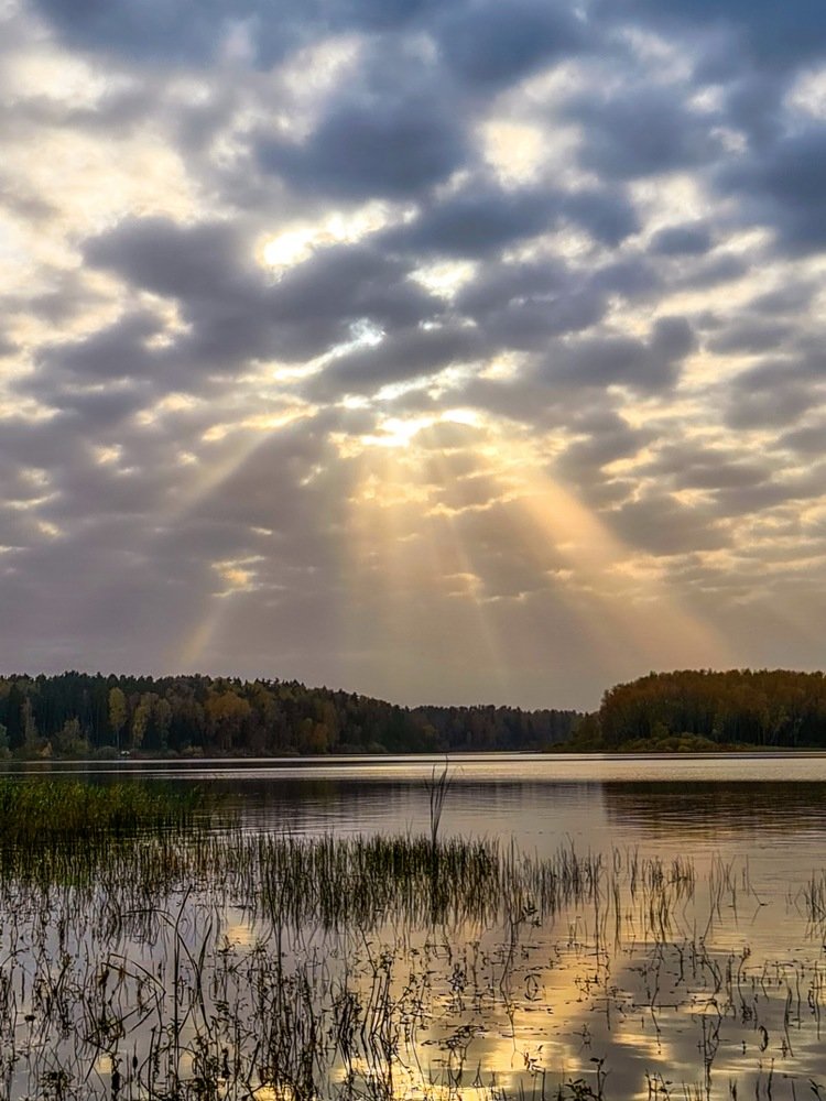Photograph by Дарья Папсуева