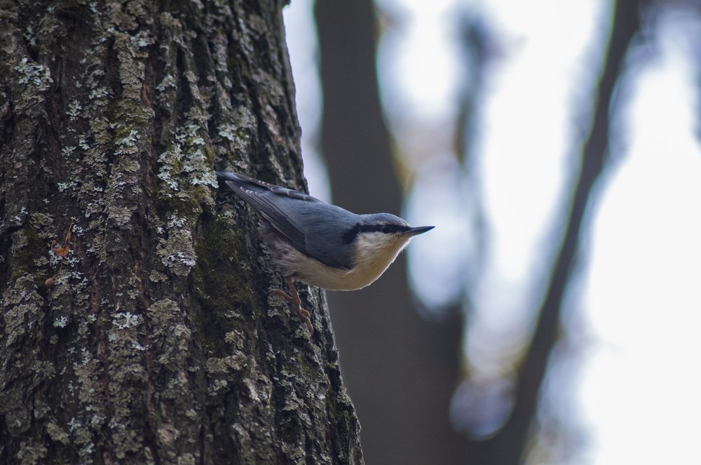 Photograph by Станислав Федашов