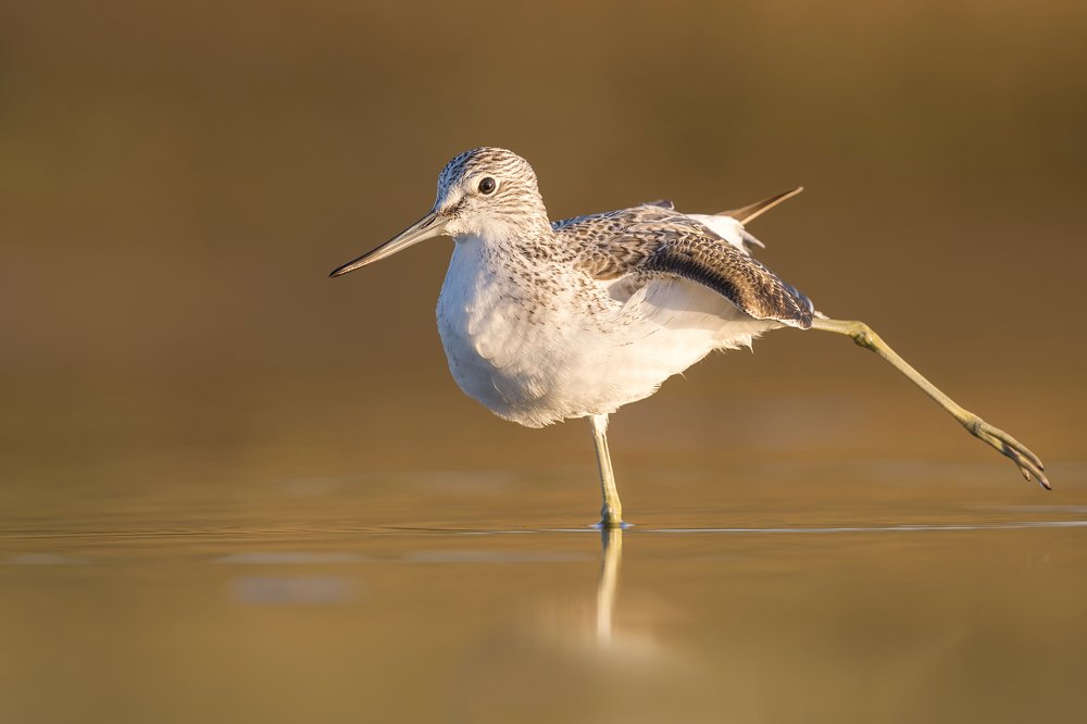 Photograph by Marcin Kaczmarkiewicz