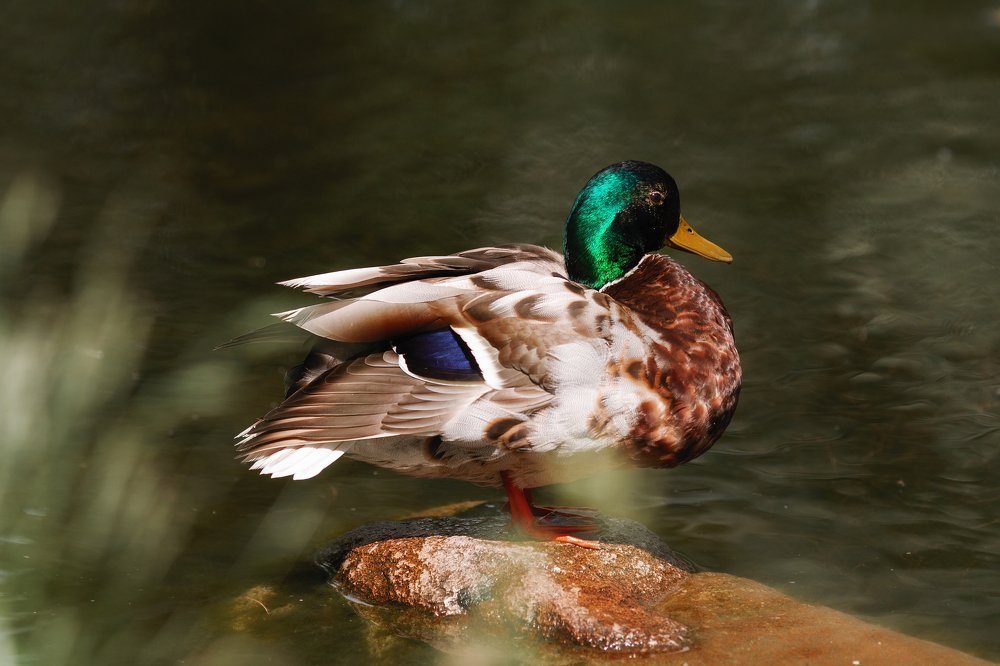 Photograph by Анастасия Корбут