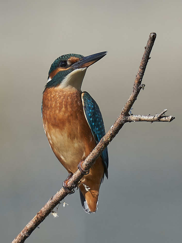 Photograph by Victor Krachkovsky