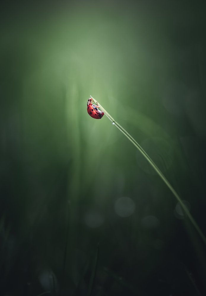 The world’s my playground