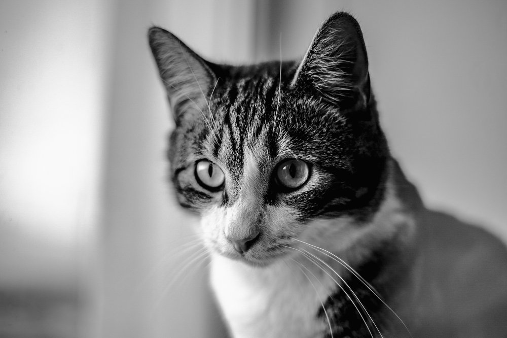 Photograph by Дмитрий Малышев