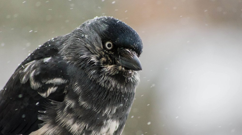 Photograph by Иванова Светлана