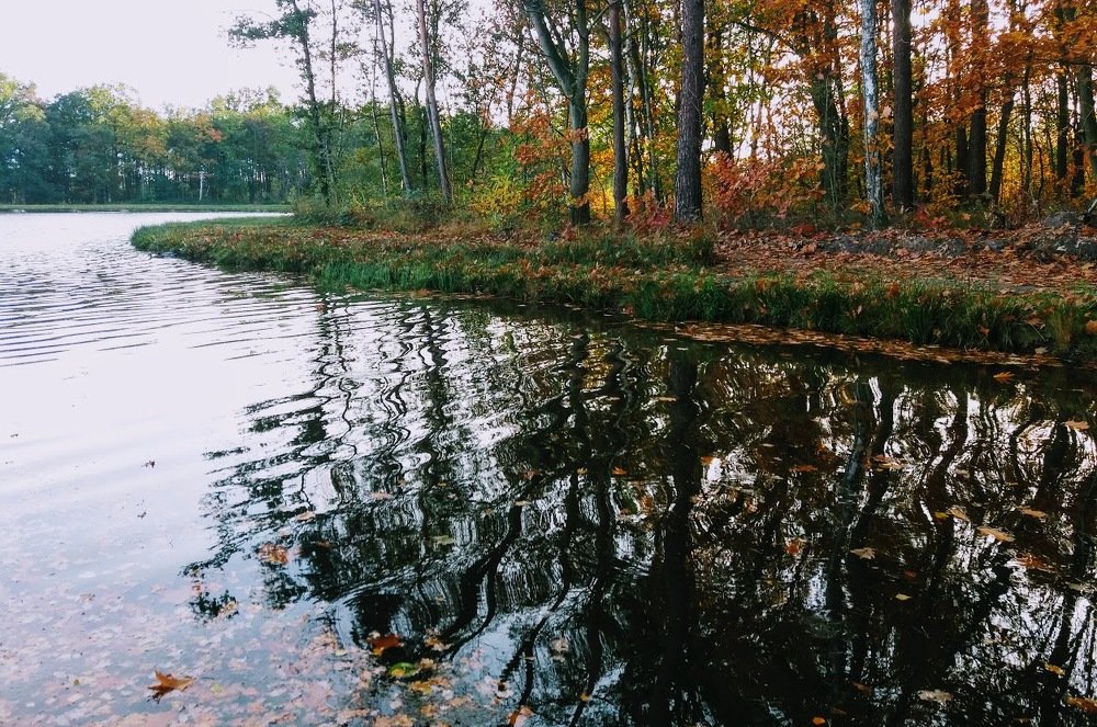 Фотография автора Valentin Claes