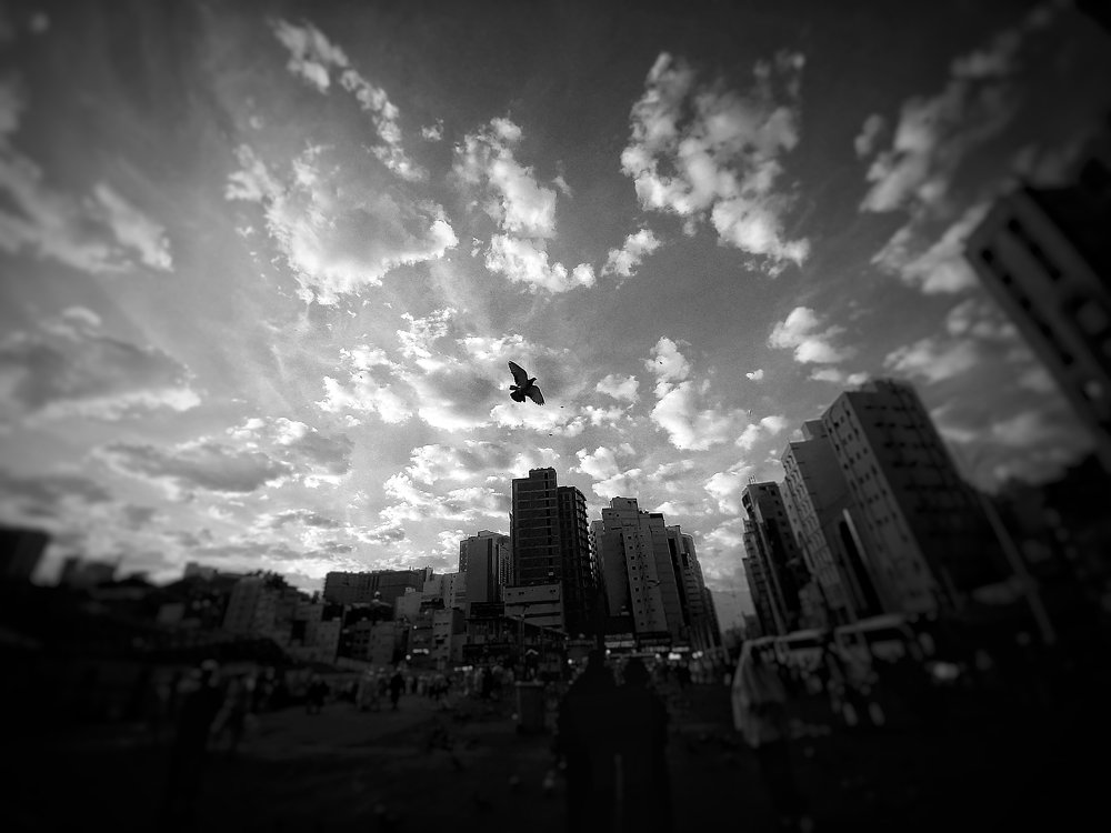 Photograph by Shaikh Abrar