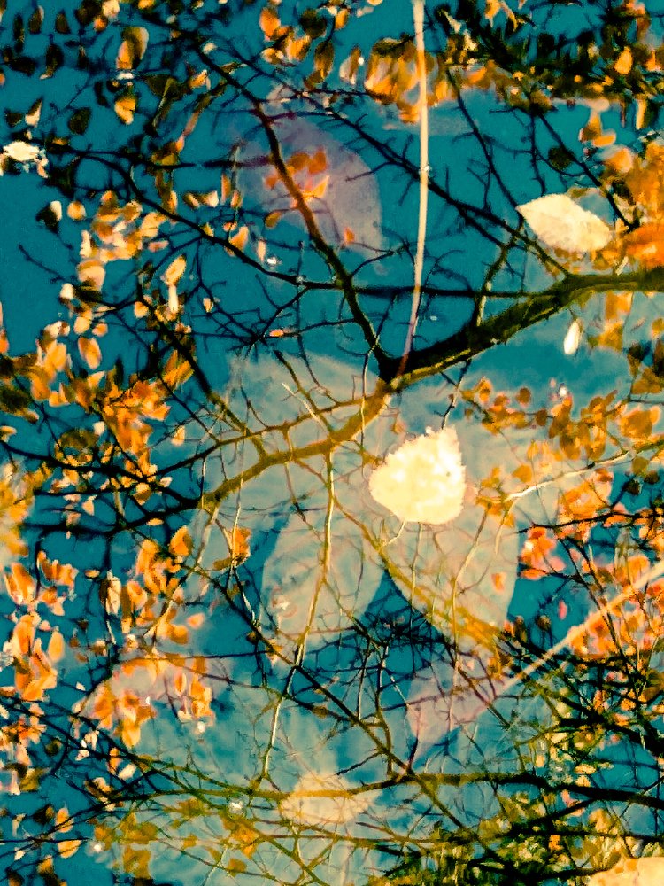 Фотография автора Olena Vorotyntseva