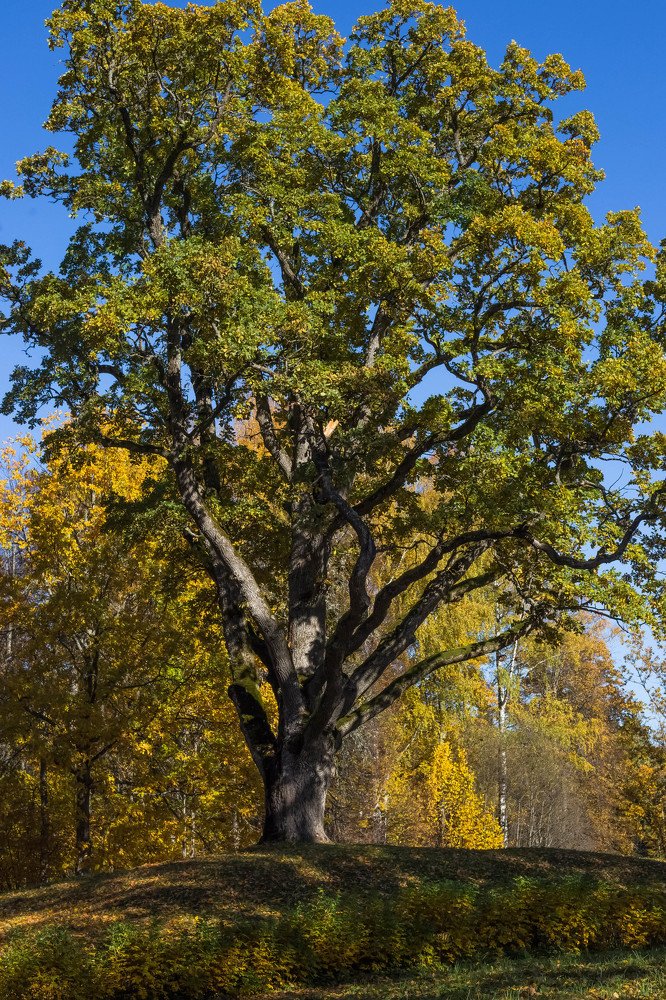 Photograph by Иванова Светлана