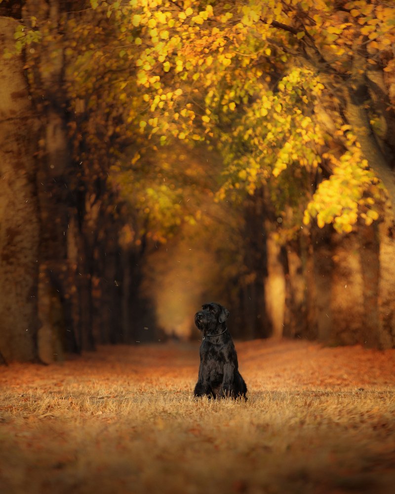 Photograph by Ольга Якимова