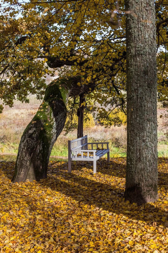 Photograph by Иванова Светлана