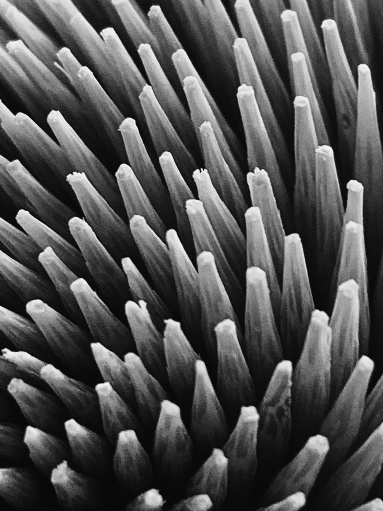 Photograph by Valeriya Sakhovska