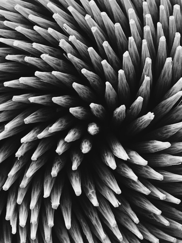 Photograph by Valeriya Sakhovska