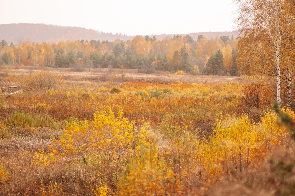 Photograph by Виктория Копытова