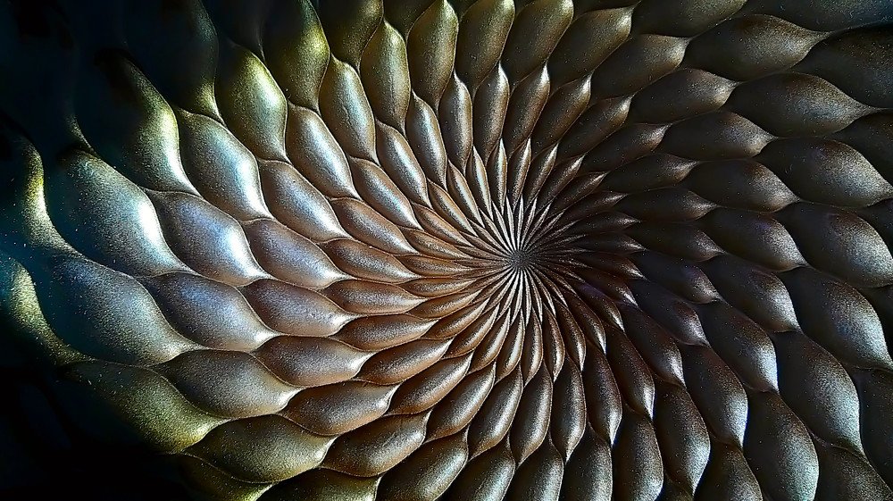 Photograph by Everton Medeiros