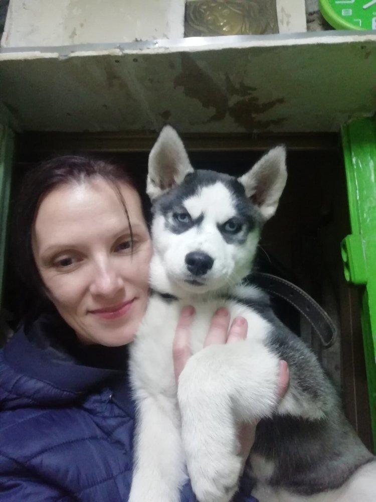 Photograph by Анастасія Ященко