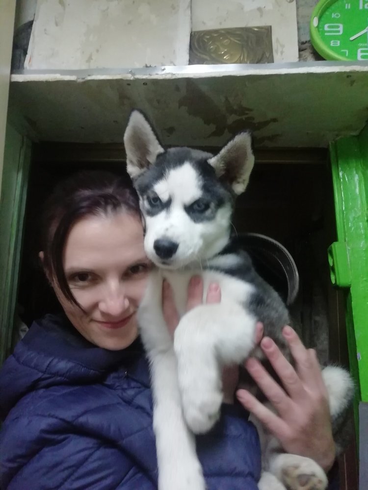 Photograph by Анастасія Ященко