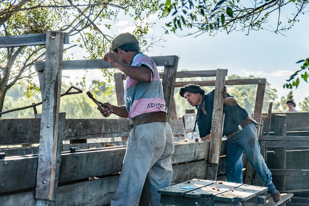 Photograph by Guillermo Bernaldo de Quiros