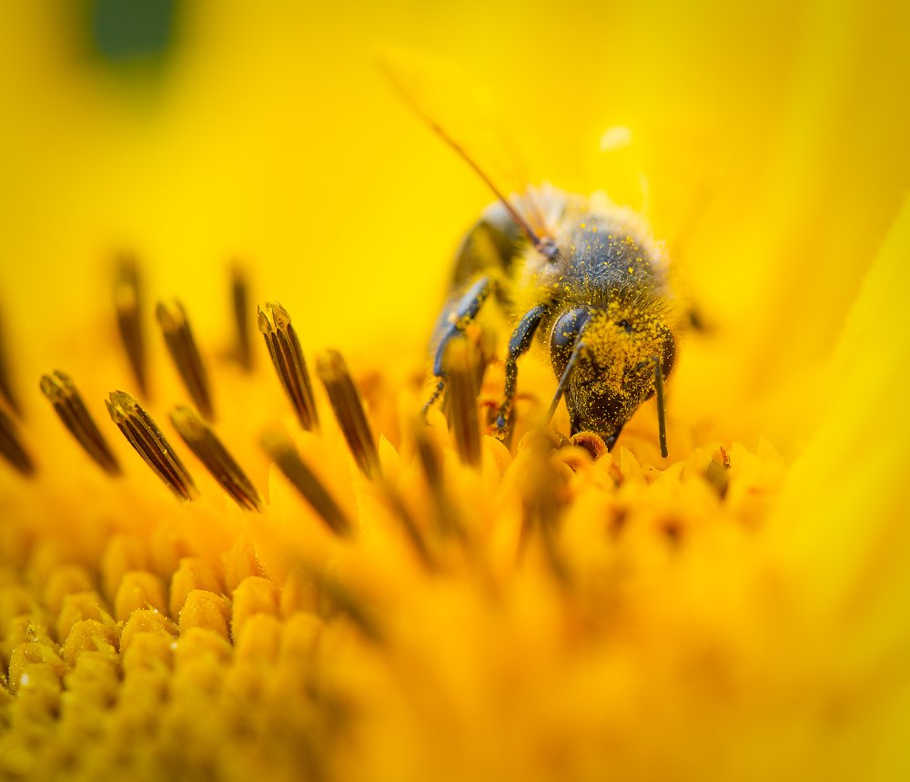 Фотография автора Владислав Жуков