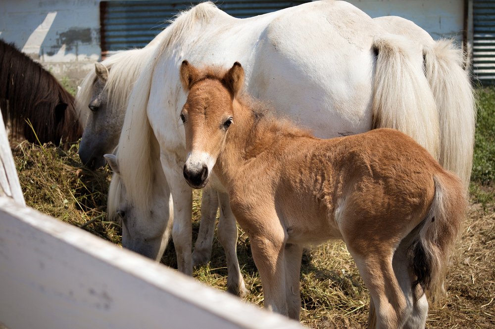 Photograph by Станислава Войцеховская