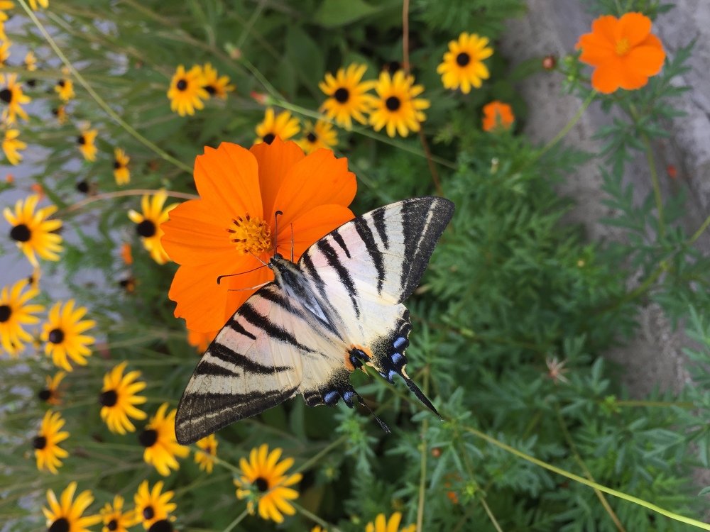 Photograph by Екатерина Амирасланова