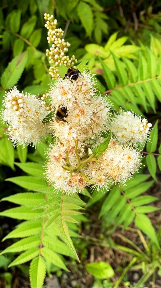 Photograph by Екатерина Амирасланова