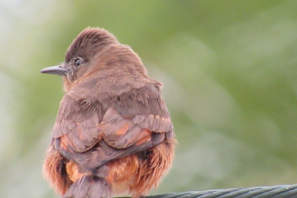 Photograph by Wan Moraez