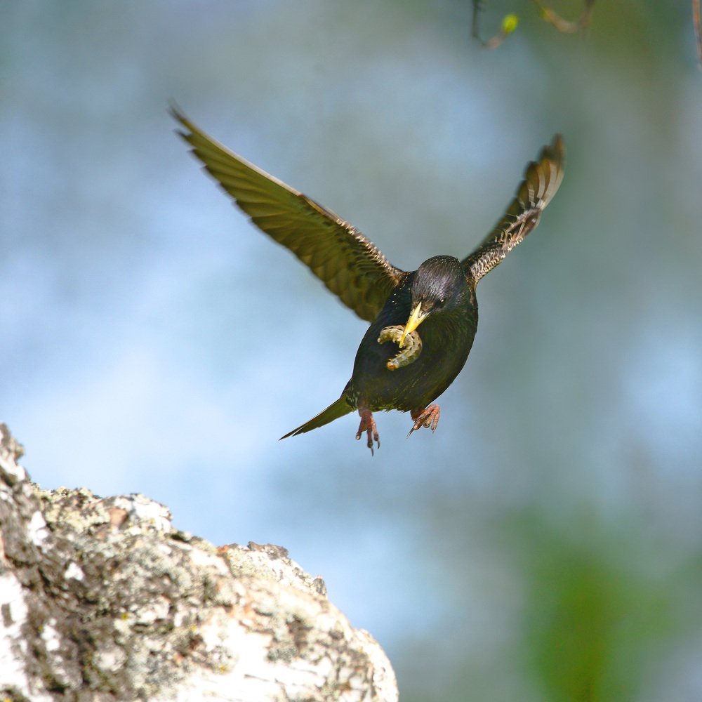 Photograph by Михаил Белоусов