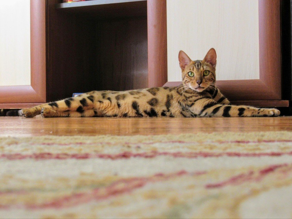 Photograph by Светлана Цветкова