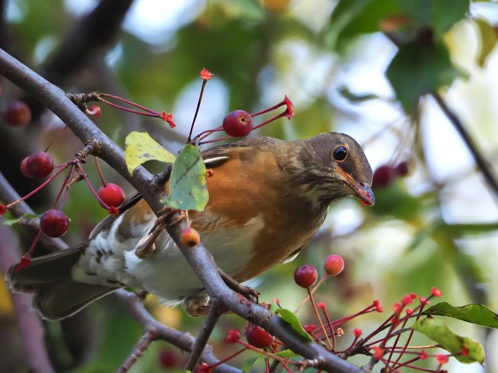 Photograph by Юлия Поршнева