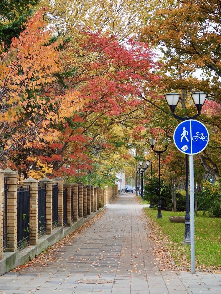 Photograph by Юлия Поршнева