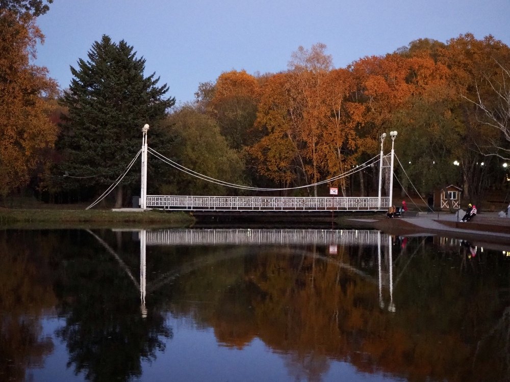 Photograph by Юлия Поршнева