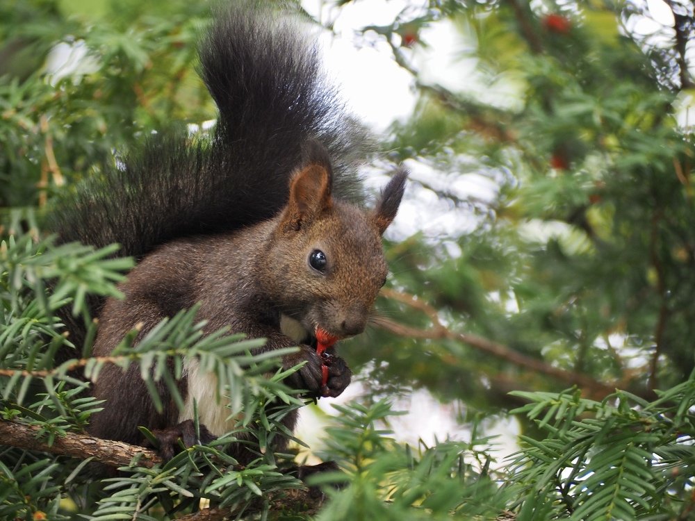 Photograph by Юлия Поршнева