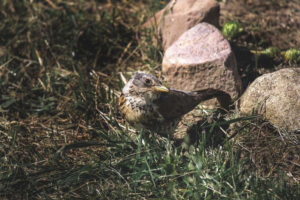 Photograph by Кирилл Кульган