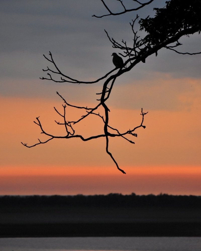 Photograph by Daniela