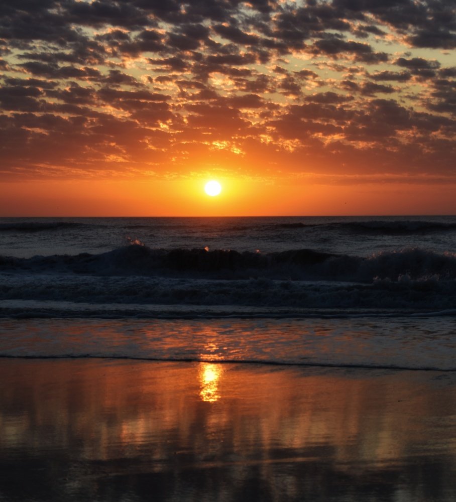 Photograph by Daniela